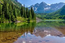 aspen in the summer