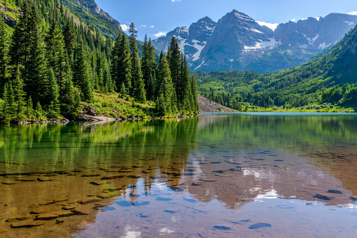 aspen in the summer