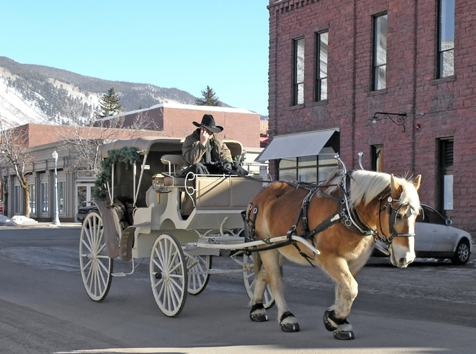 horse and cart