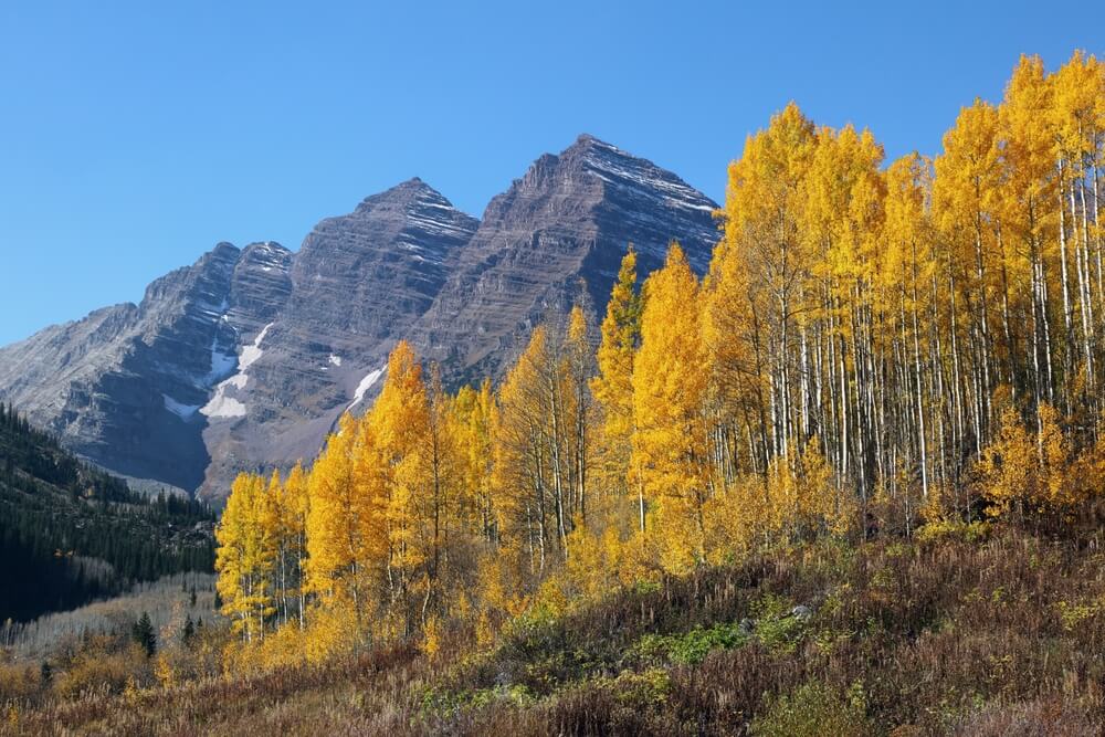 Experience the Fall Season in Aspen, Colorado